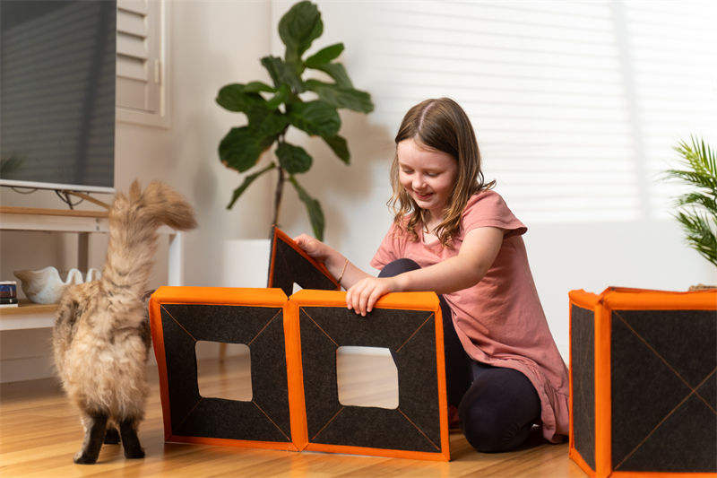 Massive Cardboard Kitty Mansion To Truly Spoil Your Feline Friend