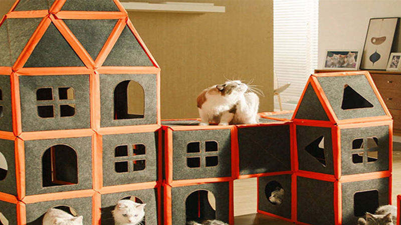 Massive Cardboard Kitty Mansion To Truly Spoil Your Feline Friend