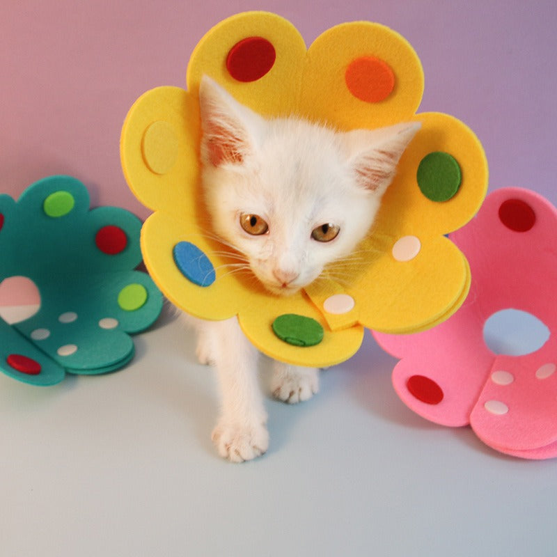 Adorable Kitty Cone To Prevent Nibbling and Biting