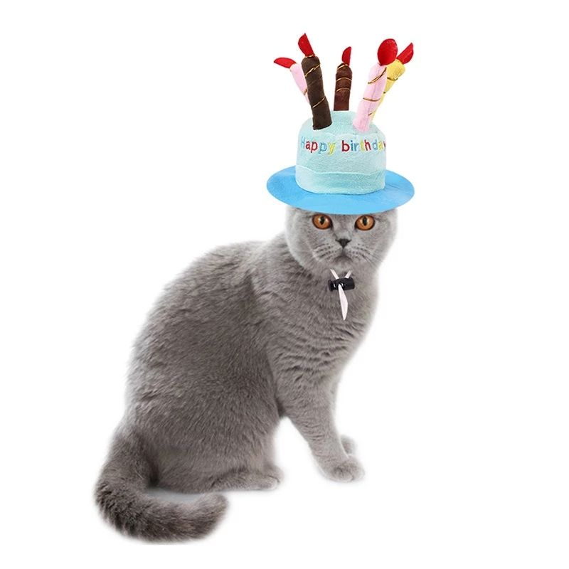 Fit For Cats or Dogs Adorable Birthday Hat