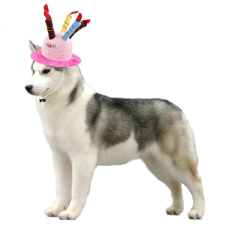 Fit For Cats or Dogs Adorable Birthday Hat