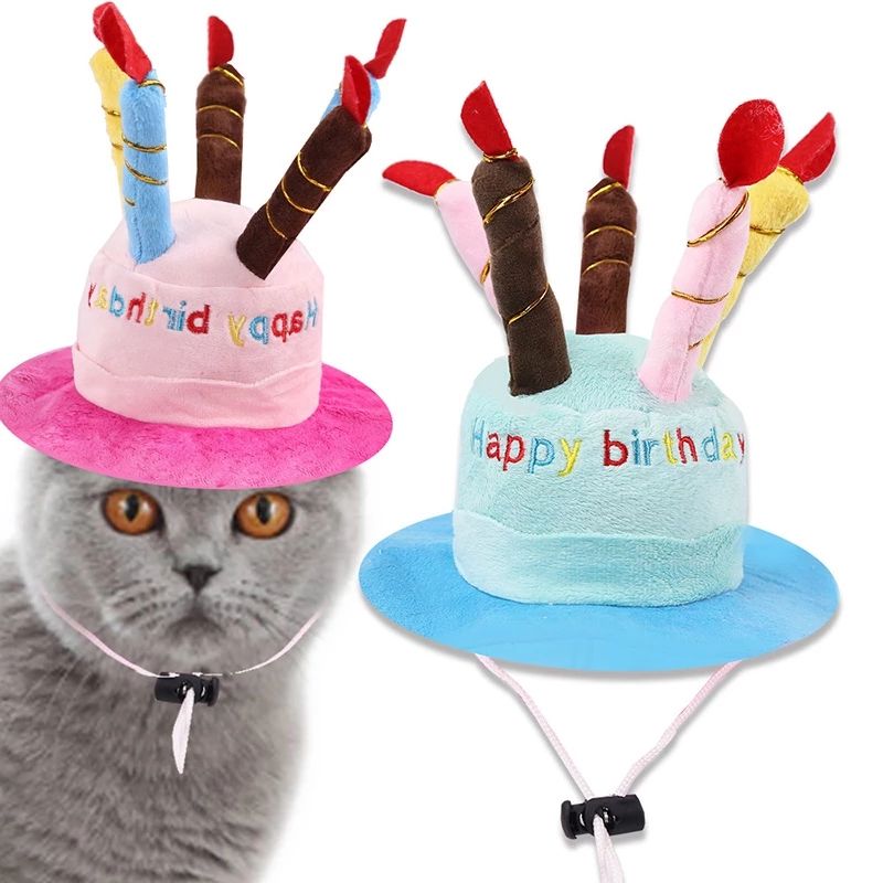 Fit For Cats or Dogs Adorable Birthday Hat