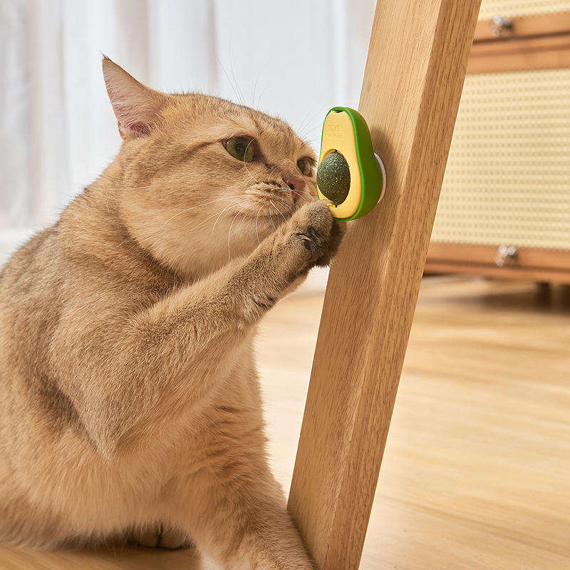 Catnip Enrichment Toy