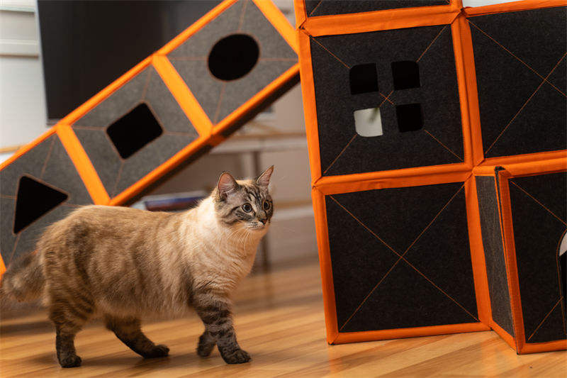 Massive Cardboard Kitty Mansion To Truly Spoil Your Feline Friend