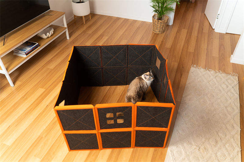 Massive Cardboard Kitty Mansion To Truly Spoil Your Feline Friend