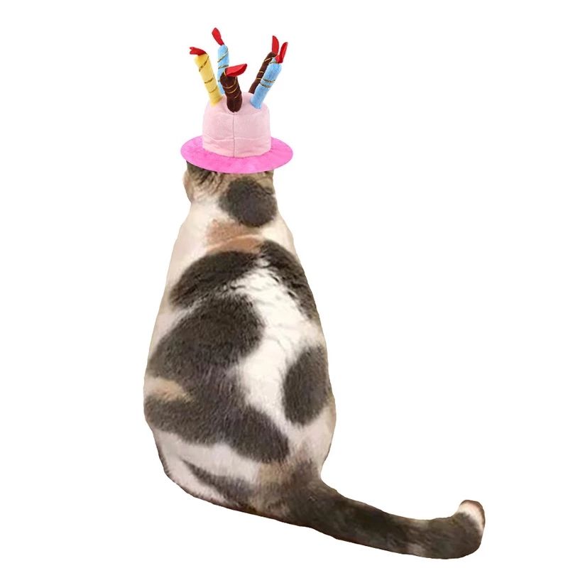 Fit For Cats or Dogs Adorable Birthday Hat